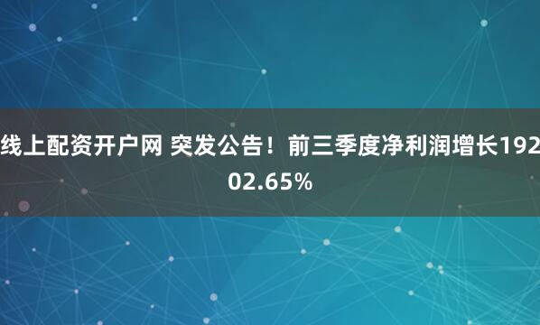 线上配资开户网 突发公告！前三季度净利润增长19202.65%