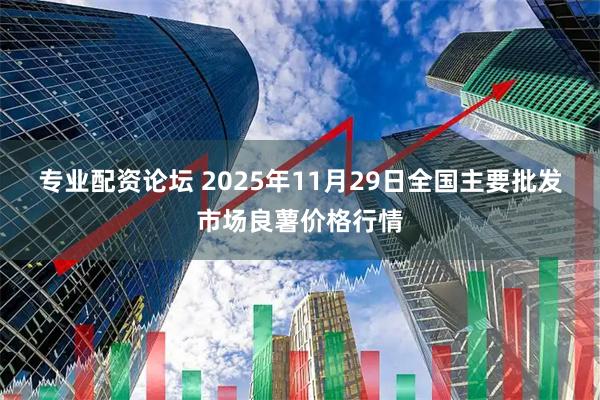 专业配资论坛 2025年11月29日全国主要批发市场良薯价格行情