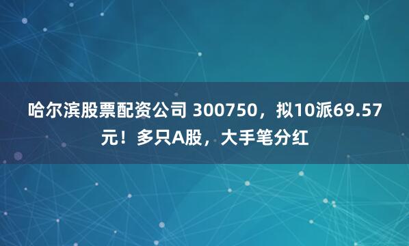 哈尔滨股票配资公司 300750，拟10派69.57元！多只A股，大手笔分红